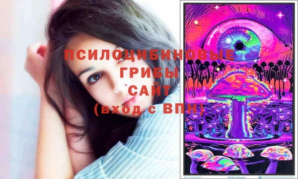 прущая мука Аркадак