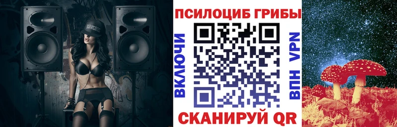 цена   Пушкино  Галлюциногенные грибы Psilocybe 